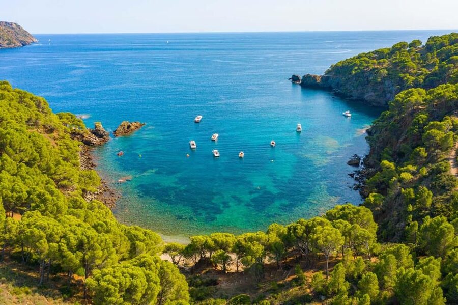 Cap Norfeu: Costa Brava Catamaran Trip with Underwater Views - Leaving Roses and following the Gulf