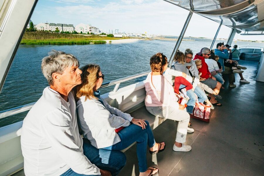 Cape May: Cape May Island Sunset Cruise & Dolphin Watching - Searching for dolphins near Cape May Point