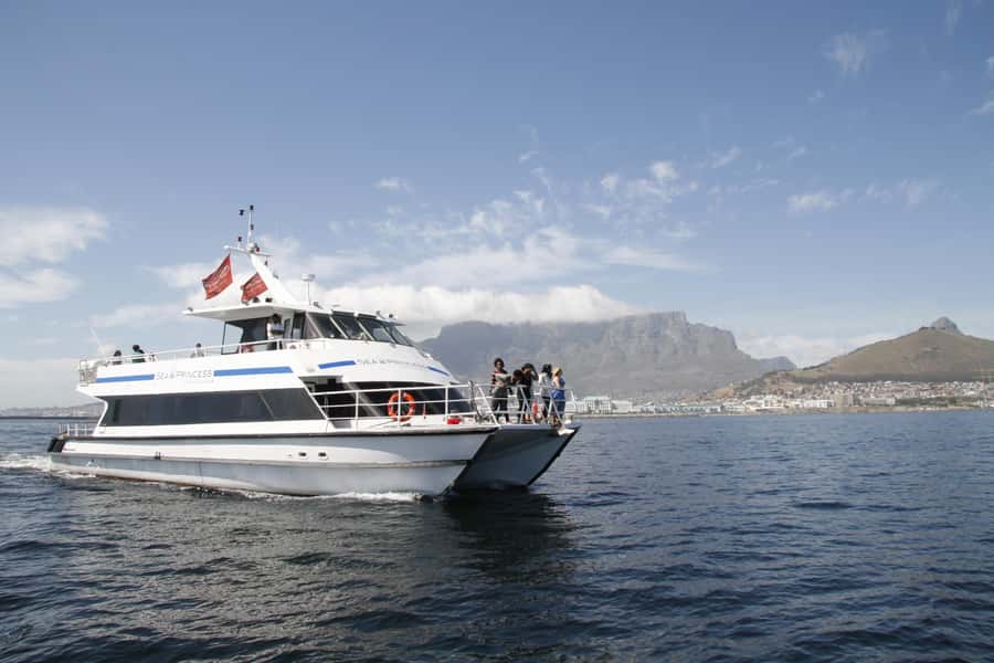 Cape Town: 1-Hour Pre-Sunset Champagne Cruise - A one-hour Atlantic outing before dinner