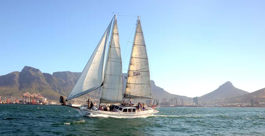 Cape Town: 1-Hour Pre-Sunset Champagne Cruise - Marine life: keep your eyes on the water