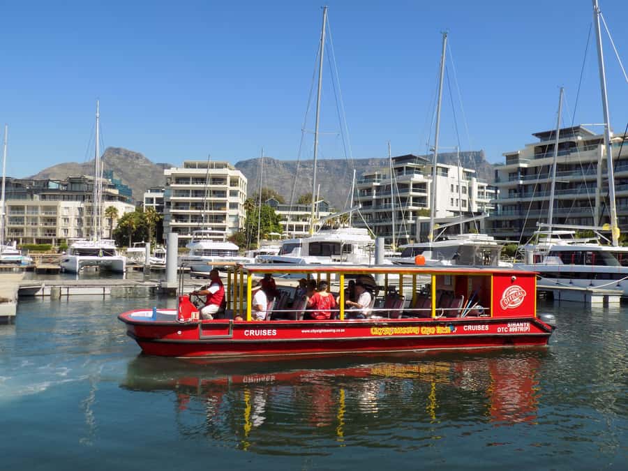 Cape Town: 30 Minute Seal-Watching Harbour Cruise - A Quick Look at Cape Town From the Water