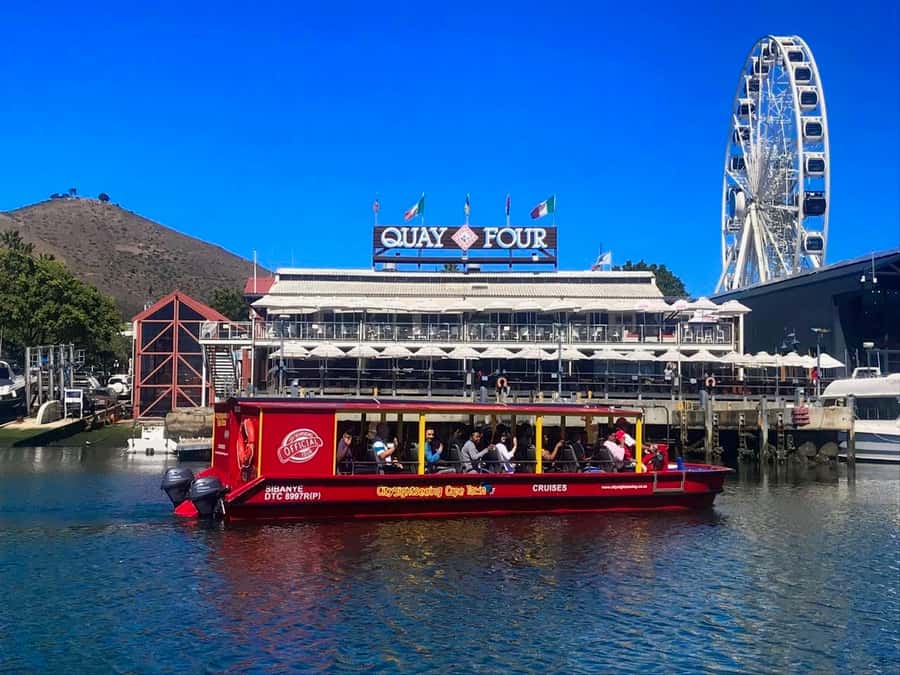 Cape Town: 30 Minute Seal-Watching Harbour Cruise - Finding the Boat Outside the Two Oceans Aquarium