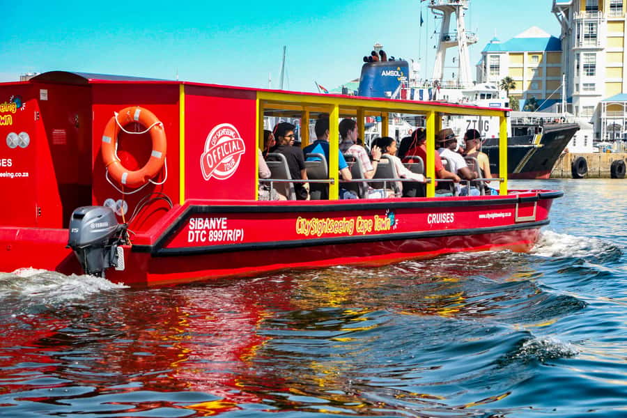 Cape Town: 30 Minute Seal-Watching Harbour Cruise - What the Audio Commentary Adds