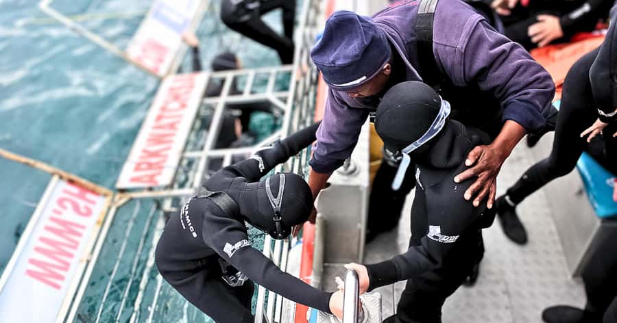 Cape Town: Gansbaai Eco-Friendly Shark Cage Diving Cruise - A practical boat setup at Joubertsdam