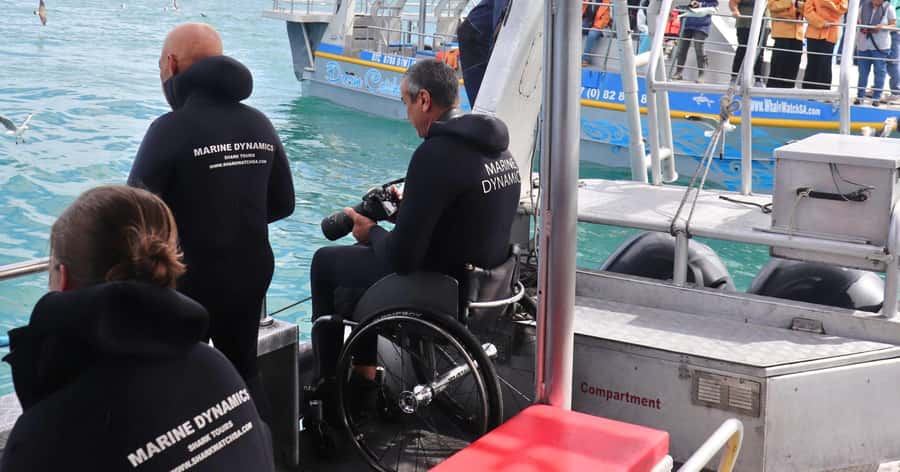 Cape Town: Gansbaai Eco-Friendly Shark Cage Diving Cruise - The African Penguin and Seabird Sanctuary
