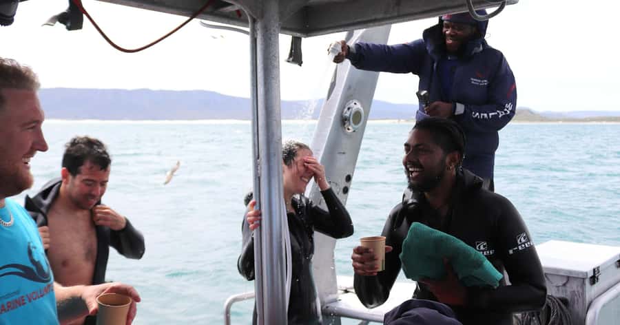 Cape Town: Gansbaai Eco-Friendly Shark Cage Diving Cruise - What the $237 price includes