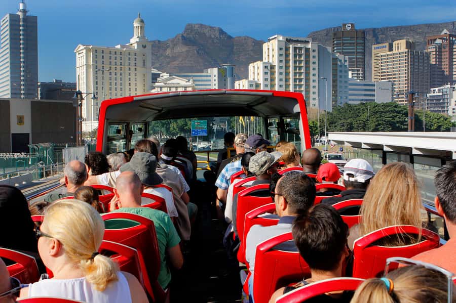 Cape Town: Hop-On Hop-Off Bus Tour with Optional Cruise - The purple route and Constantia wine country