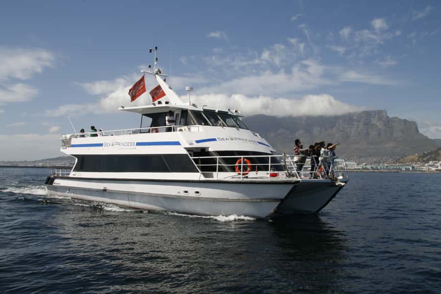 Cape Town: Scenic 1-Hour Coastal Catamaran Cruise - From Quay 5 to Green Point Lighthouse
