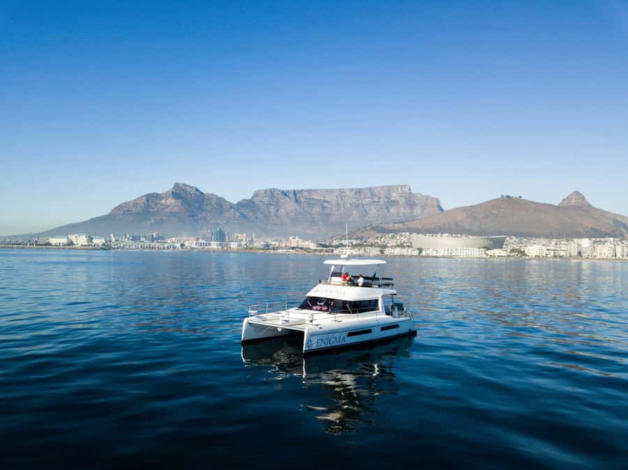 Cape Town: Scenic 1-Hour Coastal Catamaran Cruise - Wildlife sightings are a bonus, not a promise