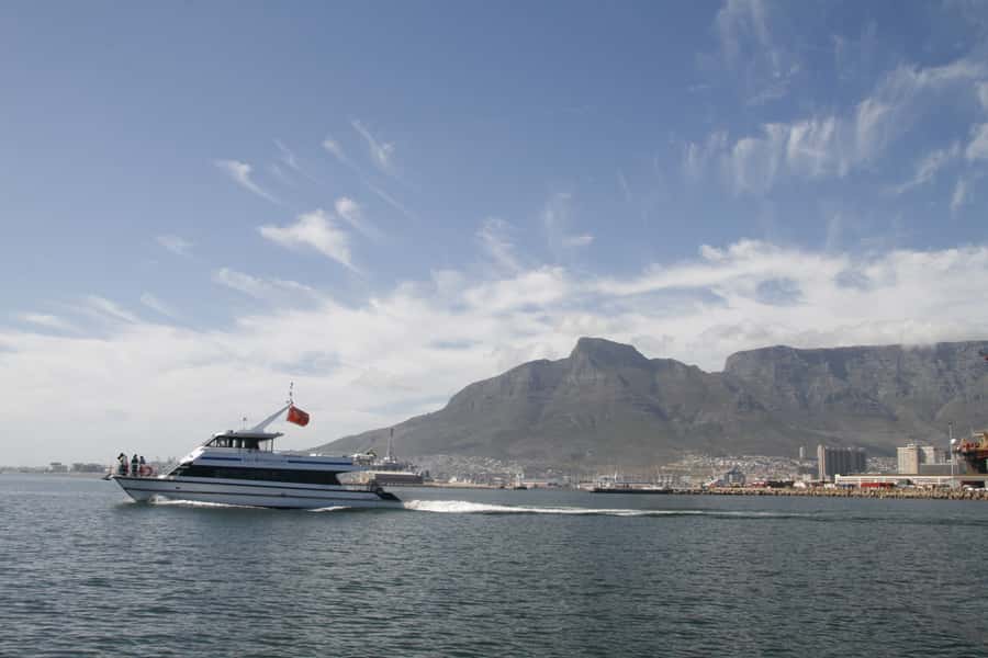 Cape Town: Scenic 1-Hour Coastal Catamaran Cruise - Who will enjoy this cruise most