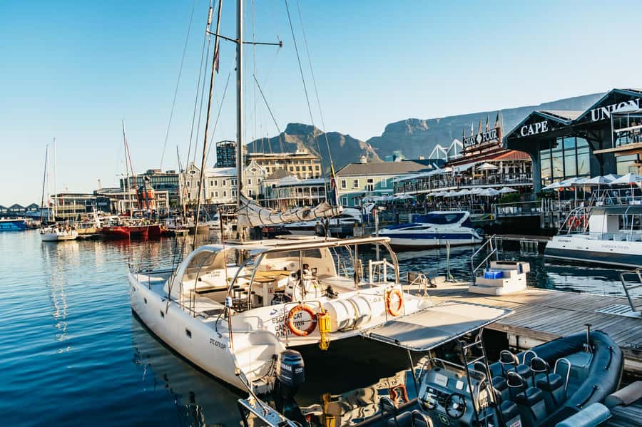Cape Town: Sunset Catamaran Cruise on Table Bay with Bubbles - Who will enjoy this 90-minute outing