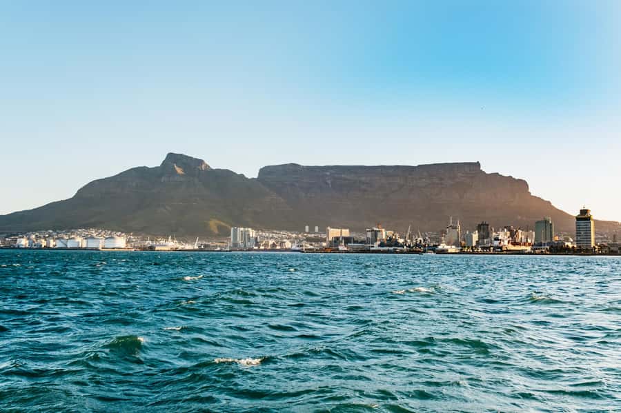 Cape Town: Sunset Catamaran Cruise on Table Bay with Bubbles - Dolphins, seals, whales, and other possible sightings