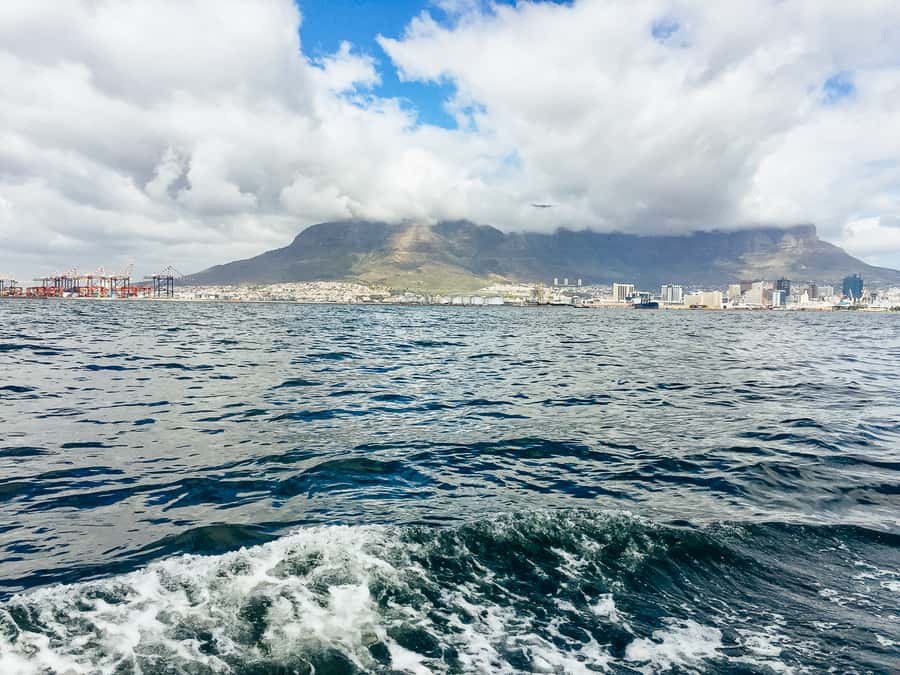 Cape Town: Sunset Champagne Cruise - Is $46 a fair price?