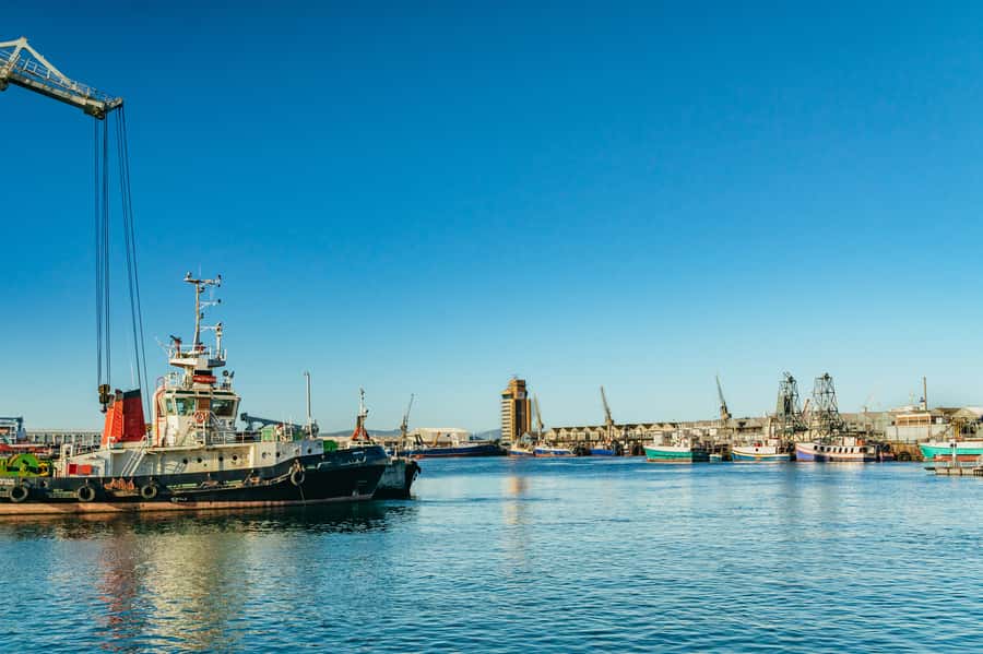 Cape Town: Sunset Champagne Cruise and 3-Course Dinner - Timing, meeting point, and practical details