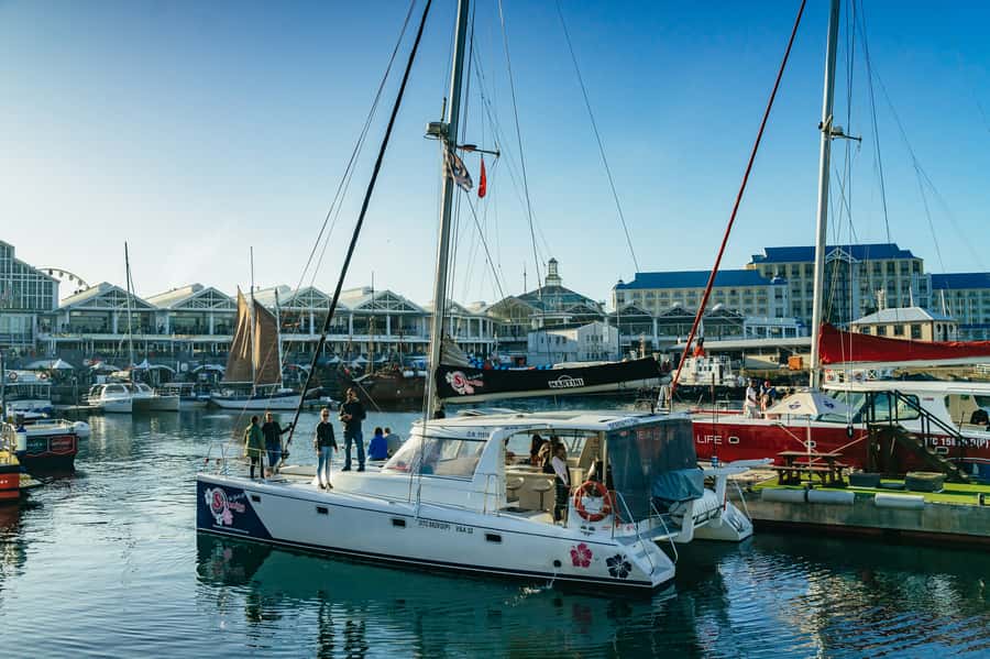 Cape Town: Sunset Champagne Cruise and 3-Course Dinner - Who should book this Cape Town evening?
