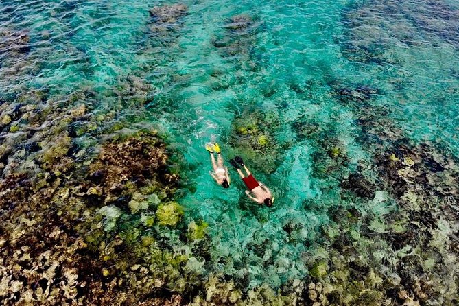 Captain Bob Speed Boat, Snorkeling, Beach Tour & Lunch St Maarten - Key points to know before you book
