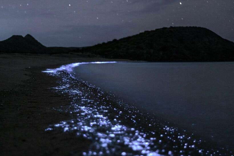 Cat Ba : Lan Ha Bay Bioluminescent Plankton Kayak Boat Tour - Key points to know