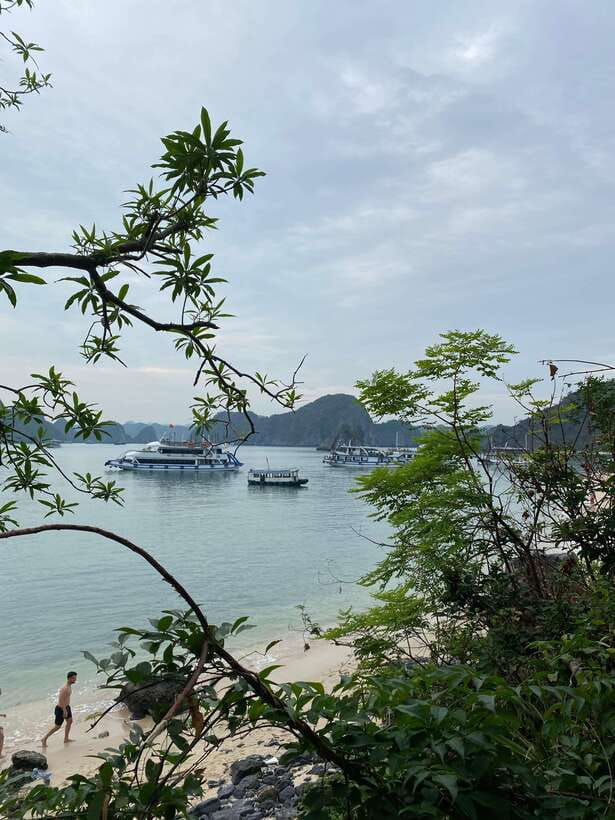 Cat Ba : Lan Ha Bay Bioluminescent Plankton Kayak Boat Tour - Sunset swimming in the warm bay