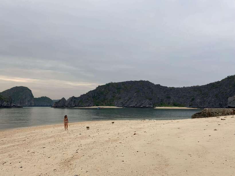 Cat Ba : Lan Ha Bay Bioluminescent Plankton Kayak Boat Tour - What the $36 price really covers
