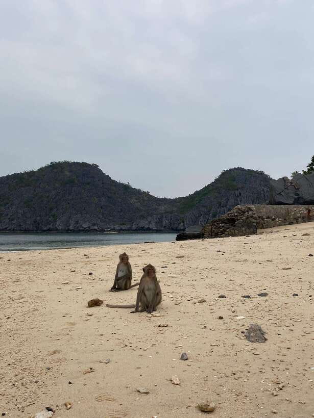 Cat Ba : Lan Ha Bay Bioluminescent Plankton Kayak Boat Tour - The 4 pm pickup and the ride from Beo Pier