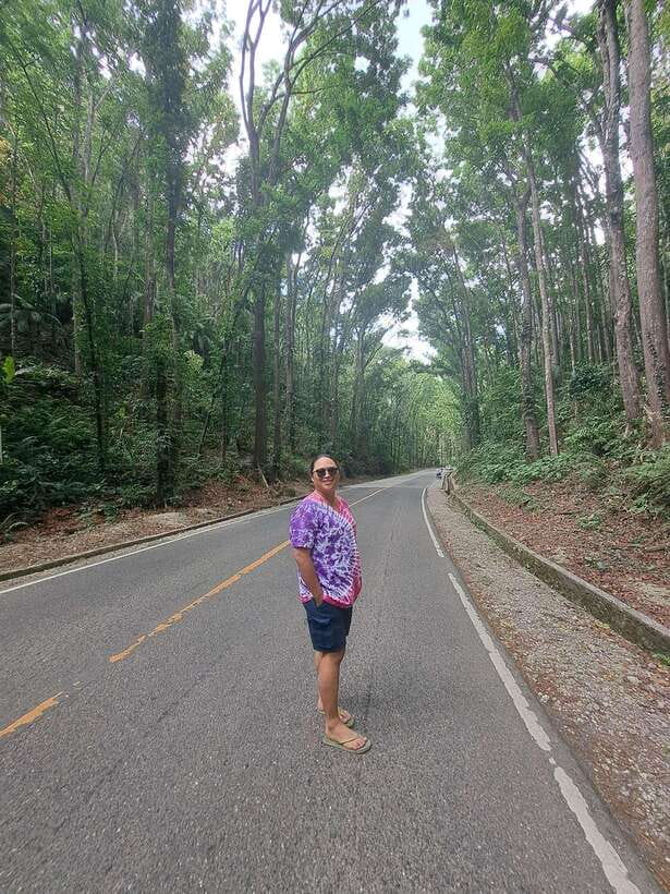 Cebu City: Bohol Countryside Tour with Loboc Cruise Lunch - Lunch aboard the Loboc River Cruise