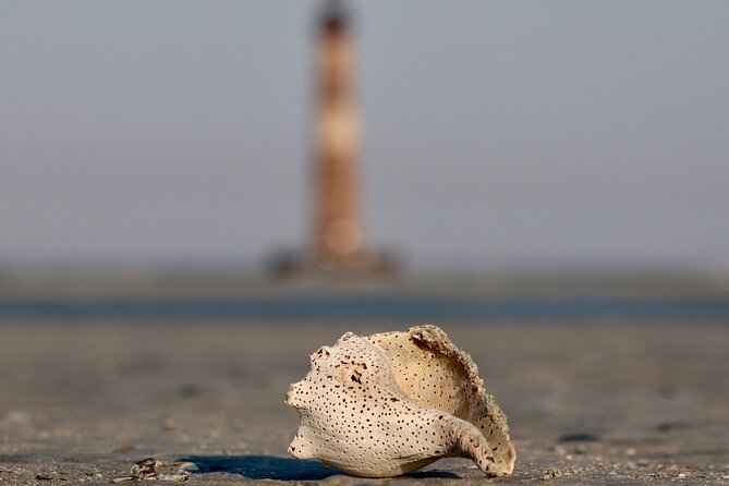 Charleston Eco Boat Cruise with stop at Morris Island Lighthouse - The return ride and the weather question