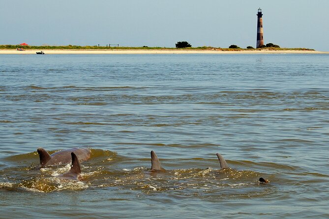 Charleston Eco Boat Cruise with stop at Morris Island Lighthouse - Is the experience good value?