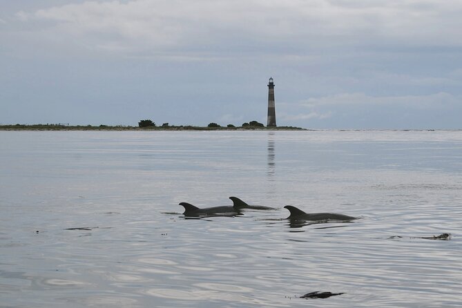 Charleston Eco Boat Cruise with stop at Morris Island Lighthouse - Morris Island and the lighthouse view
