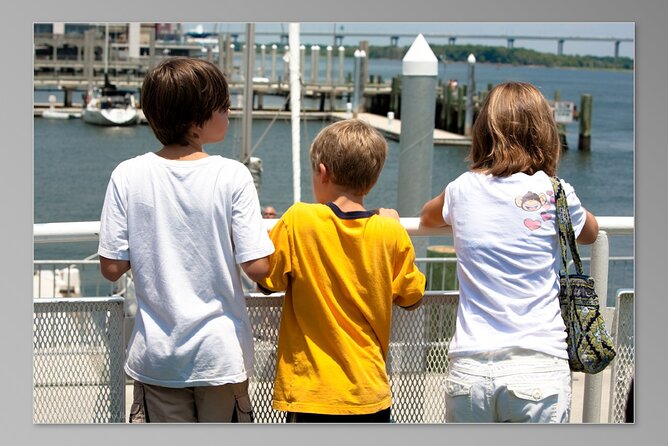 Charleston Harbor History Day-Time or Sunset Boat Cruise - Wildlife, weather, and the best time to go