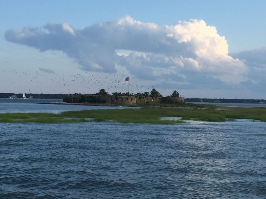 Charleston: Sunset Harbor Cruise - Dolphins, birds, and the luck factor