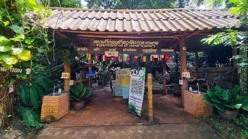 Chiang Mai: Chiang Rai Temples, Golden Triangle & Boat Tour - What to bring for a smoother day