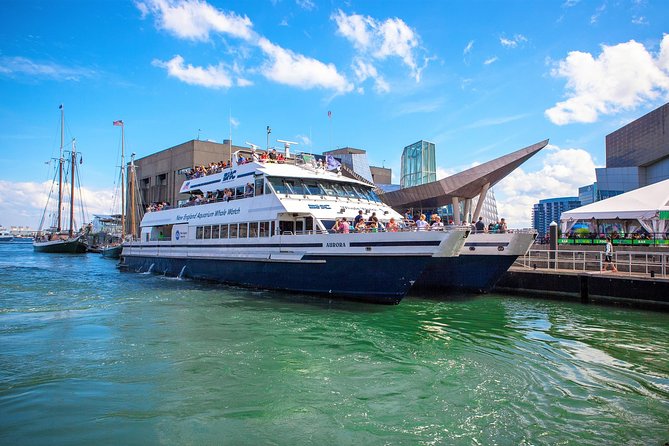 City Cruises Boston Whale Watching Cruise by High-Speed Boat - What the naturalist adds to the trip