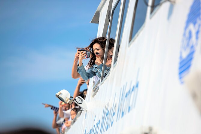 City Cruises Boston Whale Watching Cruise by High-Speed Boat - Is $85.56 a fair price?