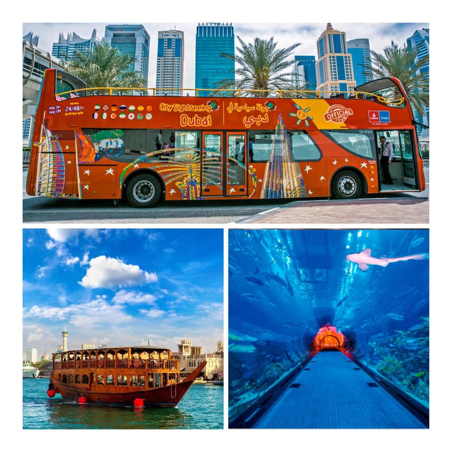 City Sightseeing Dubai Hop-On Hop-Off Bus Tour & Dhow Cruise - The blue route: the Palm, marina, and modern Dubai