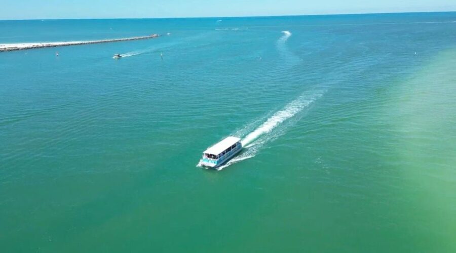 Clearwater Beach: Dolphin & Island Sandbar Cruise - A two-hour Clearwater outing built around dolphins