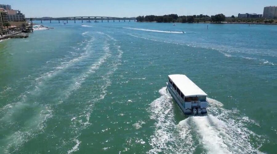 Clearwater Beach: Dolphin & Island Sandbar Cruise - FAQ