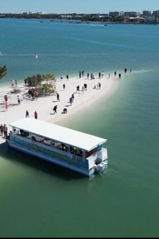 Clearwater Beach: Dolphin & Island Sandbar Cruise - The dolphin search is the main event