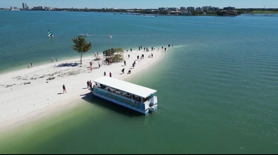 Clearwater Beach: Dolphin & Island Sandbar Cruise - A crew that keeps the ride lively