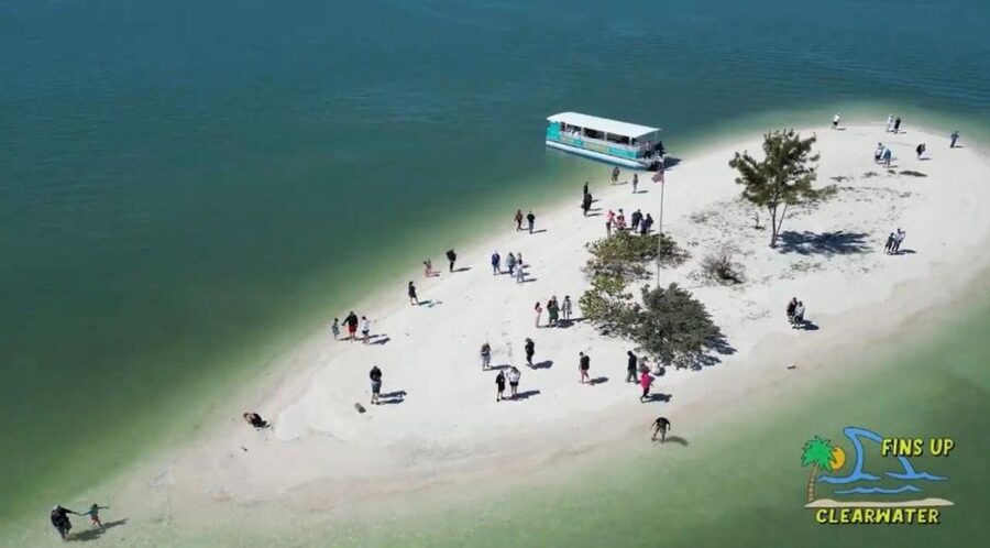 Clearwater Beach: Dolphin & Island Sandbar Cruise - Meeting at 25 Causeway Boulevard