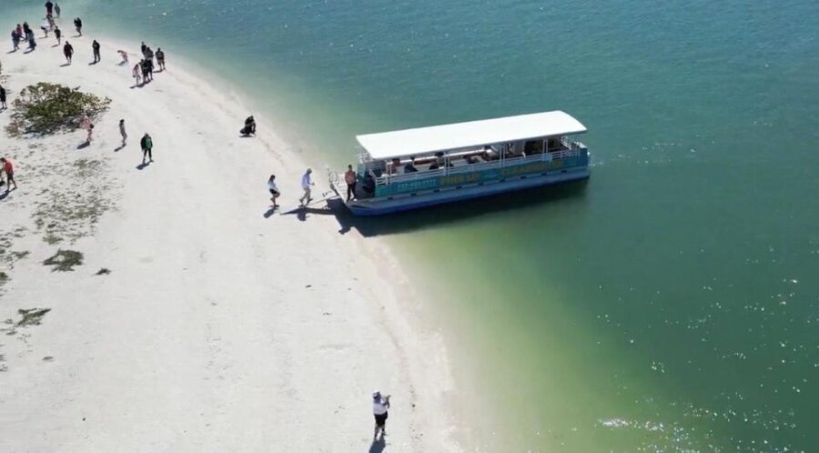 Clearwater Beach: Dolphin & Island Sandbar Cruise - Should you book the Clearwater dolphin and sandbar cruise?