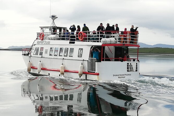 Clew Bay Cruise, Westport ( 90 minutes ) - Flooded drumlin islands in southern Clew Bay