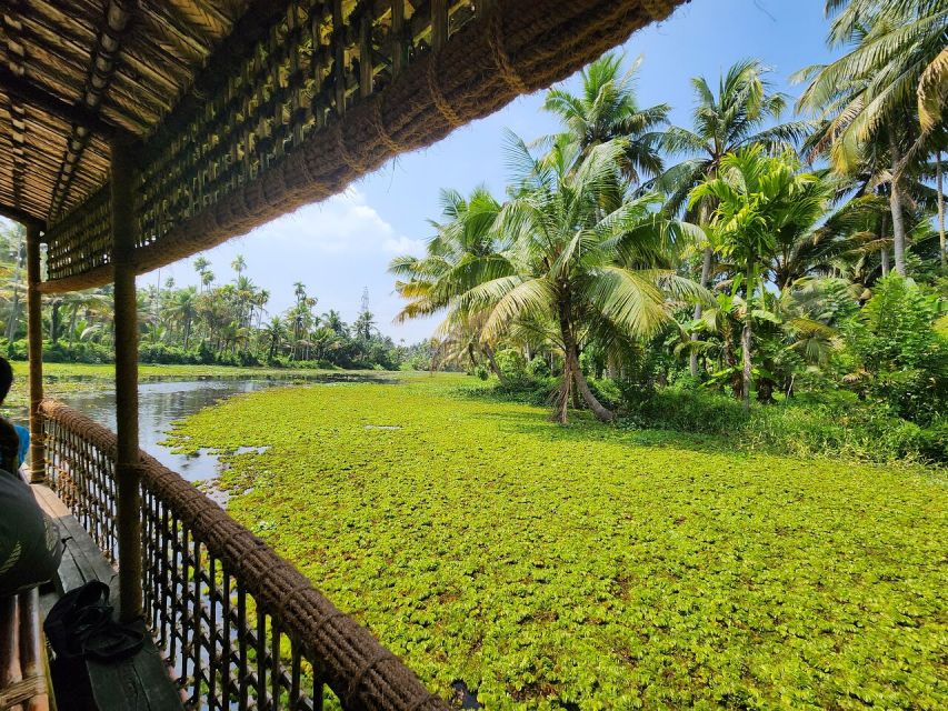 Cochin: Backwater Village Eco Boat Cruise with Lunch - Key points to know before booking
