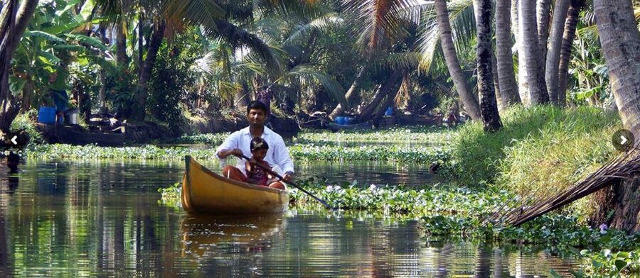 Cochin: Backwater Village Eco Boat Cruise with Lunch - Timing, group size, and comfort