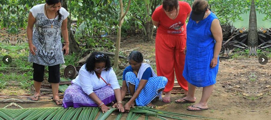 Cochin: Backwater Village Eco Boat Cruise with Lunch - A quiet ride on a traditional country boat