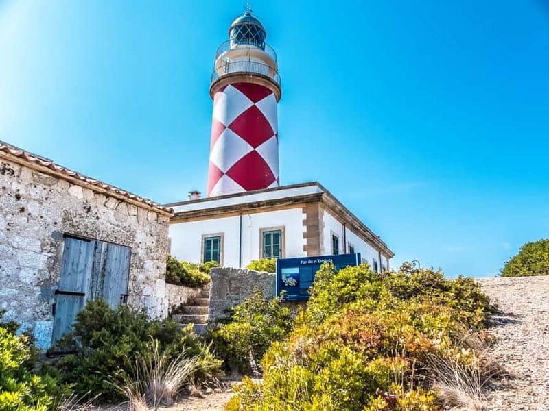 Colonia Sant Jordi: Classic & Express Boat Tour to Cabrera - Why Cabrera makes a better day trip than a simple boat ride