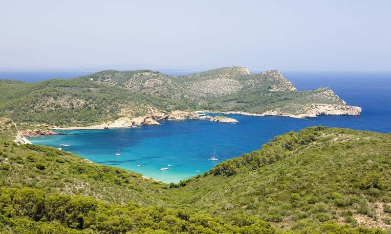 Colonia Sant Jordi: Classic & Express Boat Tour to Cabrera - Four hours to choose your own Cabrera