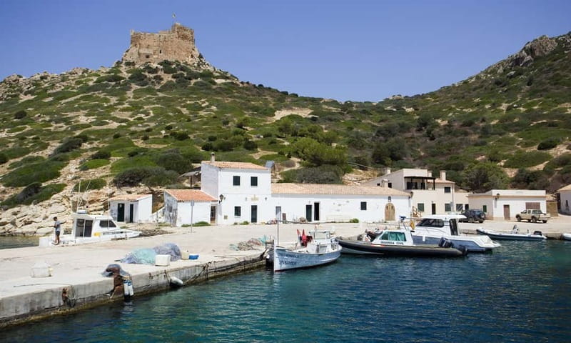 Colonia Sant Jordi: Classic & Express Boat Tour to Cabrera - Who should choose Classic or Express?