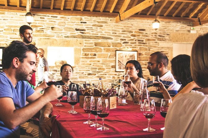 Complete Douro Valley Wine Tour with Lunch, Wine Tastings and River Cruise - Sabrosa: your first taste of Douro wine