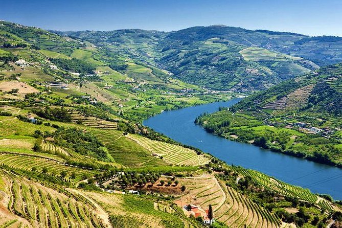 Complete Douro Valley Wine Tour with Lunch, Wine Tastings and River Cruise - The N222 and a viewpoint above the river