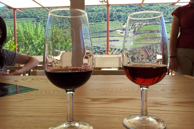 Complete Douro Valley Wine Tour with Lunch, Wine Tastings and River Cruise - Folgosa: a second estate and more Port